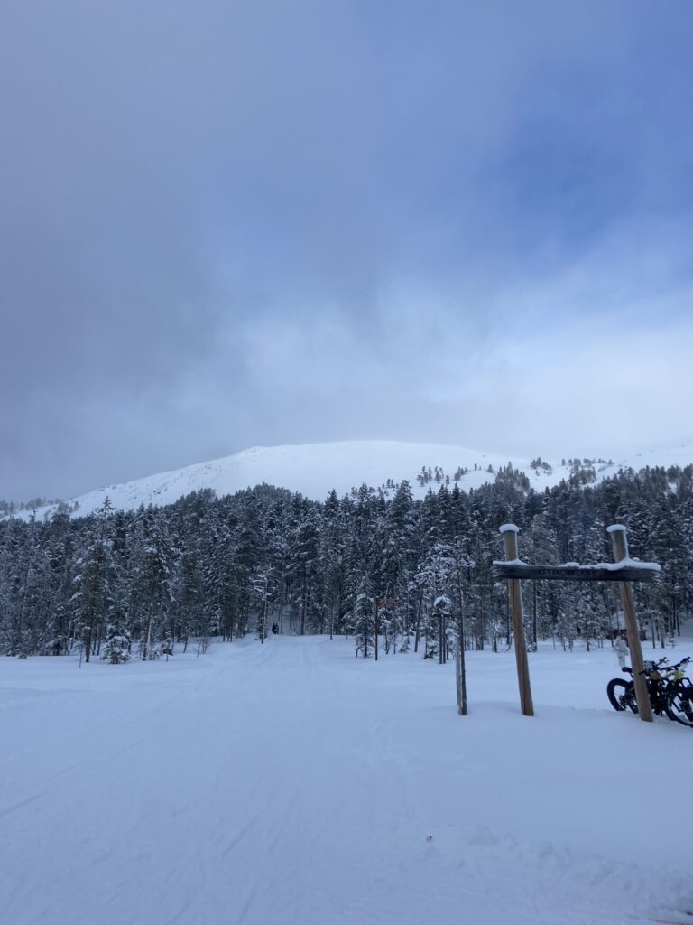 Image #1 from Nimetön